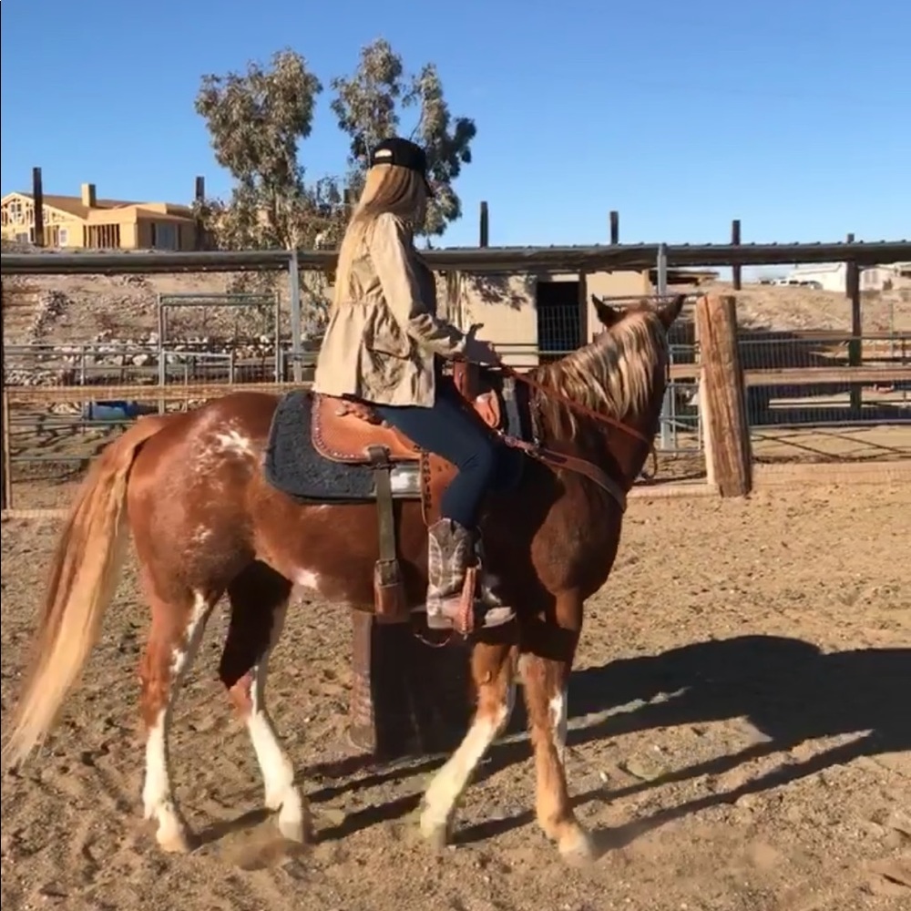 Meet your Posher, Britney